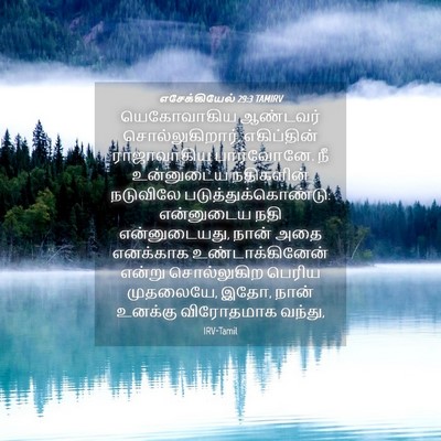 Picture 04 - எசேக்கியேல் 29:3 TAMIRV - யெகோவாகிய ஆண்டவர் - Bible Verse Picture