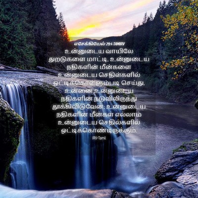 Picture 04 - எசேக்கியேல் 29:4 TAMIRV - உன்னுடைய வாயிலே - Bible Verse Picture