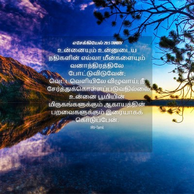 Picture 04 - எசேக்கியேல் 29:5 TAMIRV - உன்னையும் - Bible Verse Picture