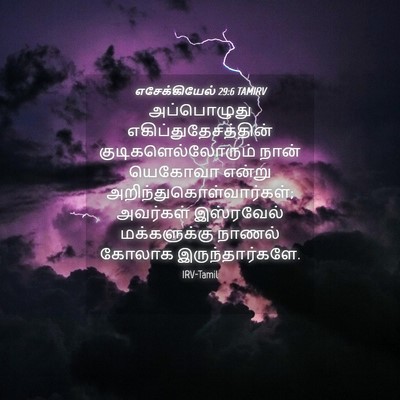 Picture 04 - எசேக்கியேல் 29:6 TAMIRV - அப்பொழுது - Bible Verse Picture