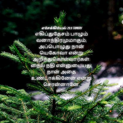 Picture 04 - எசேக்கியேல் 29:9 TAMIRV - எகிப்துதேசம் - Bible Verse Picture