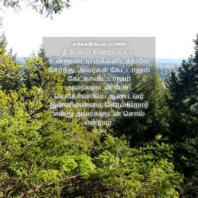 Picture 04 - எசேக்கியேல் 3:11 TAMIRV - நீ போய், - Bible Verse Picture
