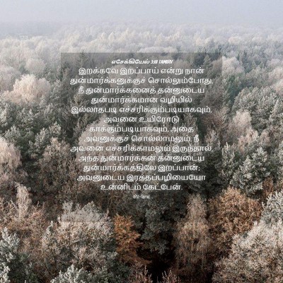 Picture 04 - எசேக்கியேல் 3:18 TAMIRV - இறக்கவே இறப்பாய் - Bible Verse Picture