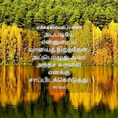 Picture 04 - எசேக்கியேல் 3:2 TAMIRV - அப்படியே என்னுடைய - Bible Verse Picture