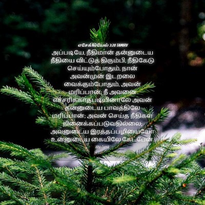 Picture 04 - எசேக்கியேல் 3:20 TAMIRV - அப்படியே, - Bible Verse Picture