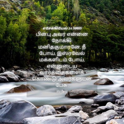 Picture 04 - எசேக்கியேல் 3:4 TAMIRV - பின்பு அவர் என்னை - Bible Verse Picture