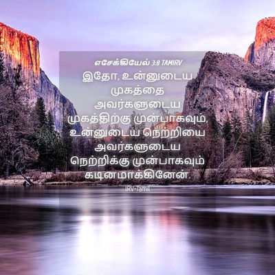 Picture 04 - எசேக்கியேல் 3:8 TAMIRV - இதோ, உன்னுடைய - Bible Verse Picture