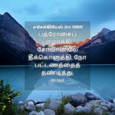 Picture 04 - எசேக்கியேல் 30:14 TAMIRV - பத்ரோசைப் - Bible Verse Picture
