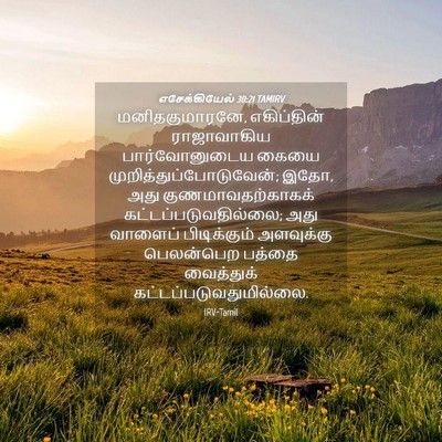 Picture 04 - எசேக்கியேல் 30:21 TAMIRV - மனிதகுமாரனே, - Bible Verse Picture