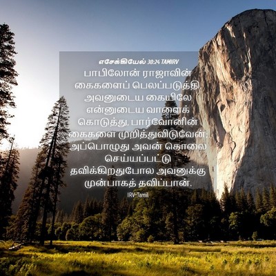 Picture 04 - எசேக்கியேல் 30:24 TAMIRV - பாபிலோன் ராஜாவின் - Bible Verse Picture
