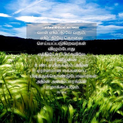 Picture 04 - எசேக்கியேல் 30:4 TAMIRV - வாள் எகிப்திலே - Bible Verse Picture