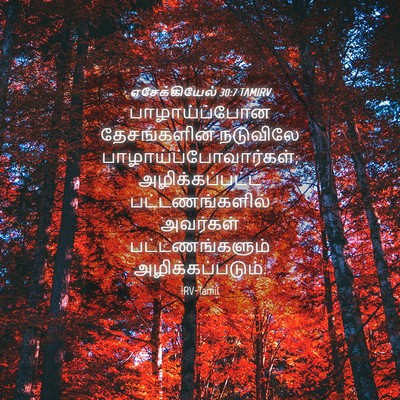 Picture 04 - எசேக்கியேல் 30:7 TAMIRV - பாழாய்ப்போன - Bible Verse Picture
