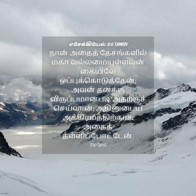 Picture 04 - எசேக்கியேல் 31:11 TAMIRV - நான் அதைத் - Bible Verse Picture