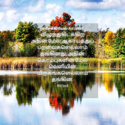 Picture 04 - எசேக்கியேல் 31:13 TAMIRV - விழுந்துகிடக்கிற - Bible Verse Picture