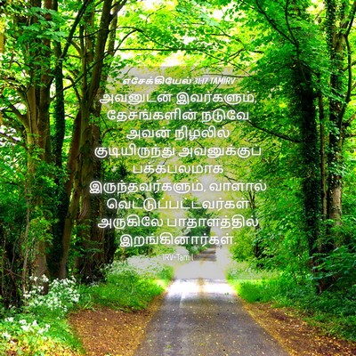 Picture 04 - எசேக்கியேல் 31:17 TAMIRV - அவனுடன் - Bible Verse Picture