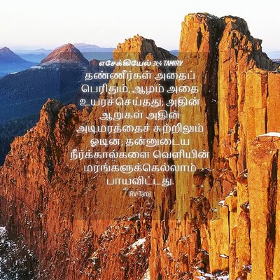 Picture 04 - எசேக்கியேல் 31:4 TAMIRV - தண்ணீர்கள் அதைப் - Bible Verse Picture
