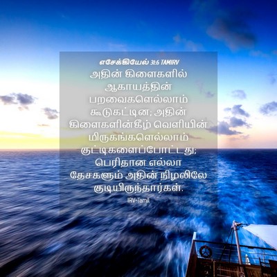 Picture 04 - எசேக்கியேல் 31:6 TAMIRV - அதின் கிளைகளில் - Bible Verse Picture