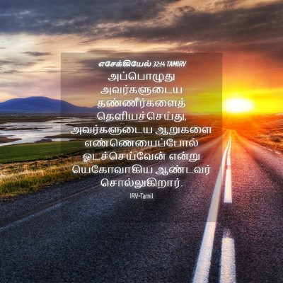 Picture 04 - எசேக்கியேல் 32:14 TAMIRV - அப்பொழுது - Bible Verse Picture