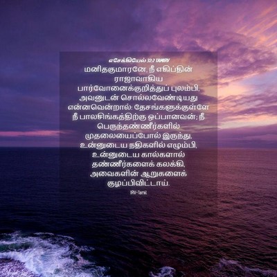 Picture 04 - எசேக்கியேல் 32:2 TAMIRV - மனிதகுமாரனே, நீ - Bible Verse Picture