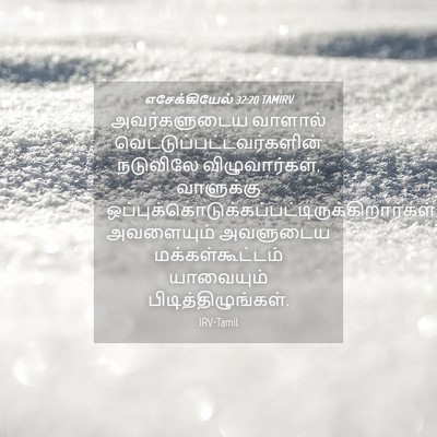 Picture 04 - எசேக்கியேல் 32:20 TAMIRV - அவர்களுடைய வாளால் - Bible Verse Picture