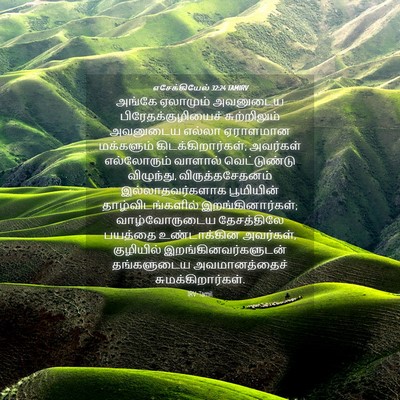 Picture 04 - எசேக்கியேல் 32:24 TAMIRV - அங்கே ஏலாமும் - Bible Verse Picture