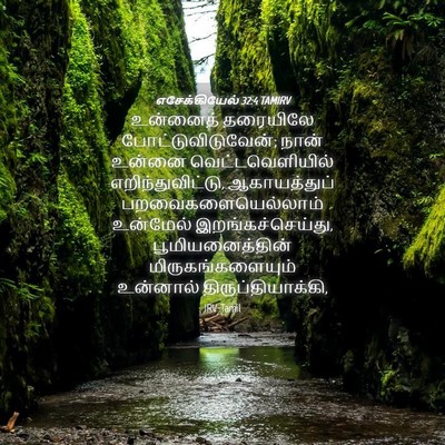 Picture 04 - எசேக்கியேல் 32:4 TAMIRV - உன்னைத் தரையிலே - Bible Verse Picture