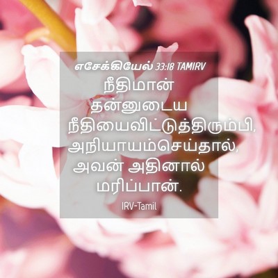 Picture 04 - எசேக்கியேல் 33:18 TAMIRV - நீதிமான் தன்னுடைய - Bible Verse Picture
