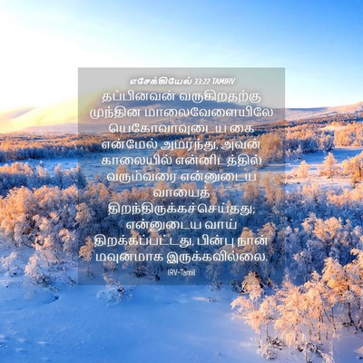 Picture 04 - எசேக்கியேல் 33:22 TAMIRV - தப்பினவன் - Bible Verse Picture