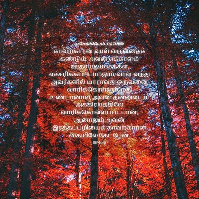 Picture 04 - எசேக்கியேல் 33:6 TAMIRV - காவற்காரன் வாள் - Bible Verse Picture