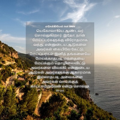 Picture 04 - எசேக்கியேல் 34:10 TAMIRV - யெகோவாகிய ஆண்டவர் - Bible Verse Picture