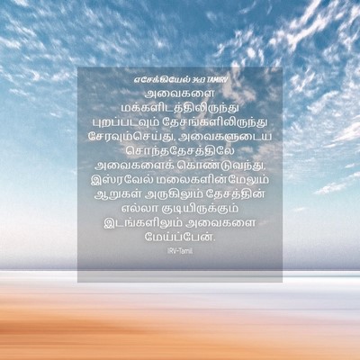 Picture 04 - எசேக்கியேல் 34:13 TAMIRV - அவைகளை - Bible Verse Picture