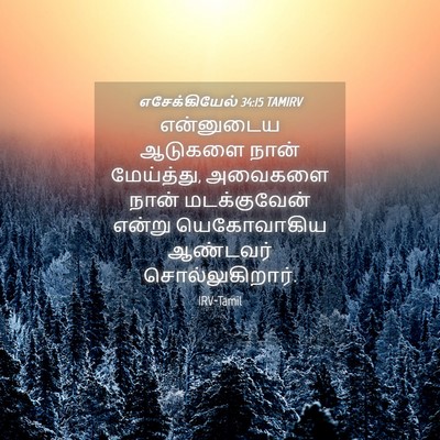 Picture 04 - எசேக்கியேல் 34:15 TAMIRV - என்னுடைய ஆடுகளை - Bible Verse Picture