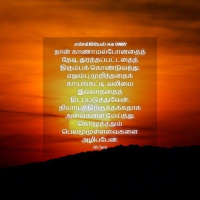 Picture 04 - எசேக்கியேல் 34:16 TAMIRV - நான் - Bible Verse Picture