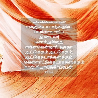 Picture 04 - எசேக்கியேல் 34:17 TAMIRV - என்னுடைய மந்தையே, - Bible Verse Picture