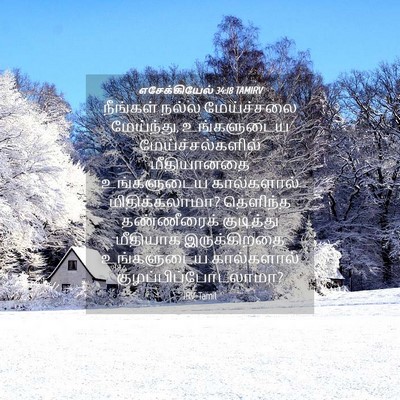 Picture 04 - எசேக்கியேல் 34:18 TAMIRV - நீங்கள் நல்ல - Bible Verse Picture