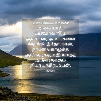 Picture 04 - எசேக்கியேல் 34:20 TAMIRV - ஆகையால், - Bible Verse Picture