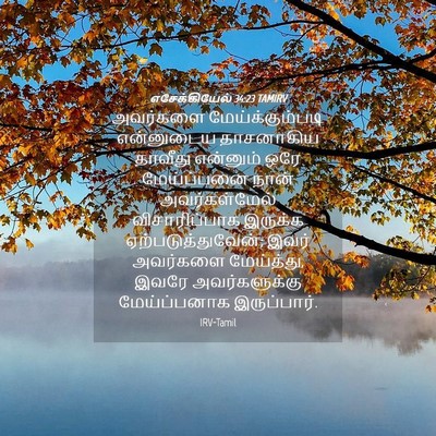 Picture 04 - எசேக்கியேல் 34:23 TAMIRV - அவர்களை - Bible Verse Picture