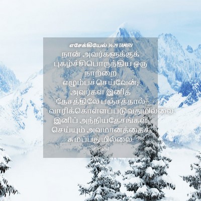 Picture 04 - எசேக்கியேல் 34:29 TAMIRV - நான் - Bible Verse Picture