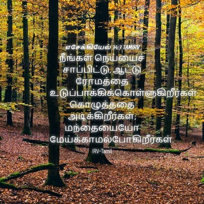 Picture 04 - எசேக்கியேல் 34:3 TAMIRV - நீங்கள் நெய்யைச் - Bible Verse Picture