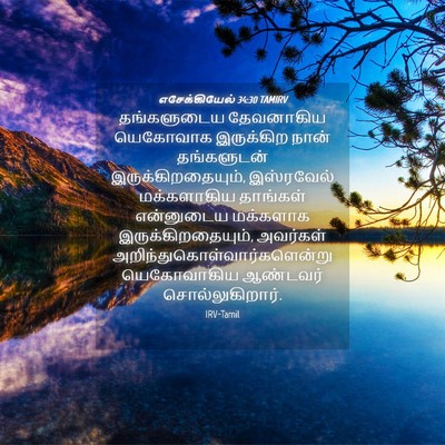 Picture 04 - எசேக்கியேல் 34:30 TAMIRV - தங்களுடைய - Bible Verse Picture