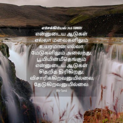 Picture 04 - எசேக்கியேல் 34:6 TAMIRV - என்னுடைய ஆடுகள் - Bible Verse Picture
