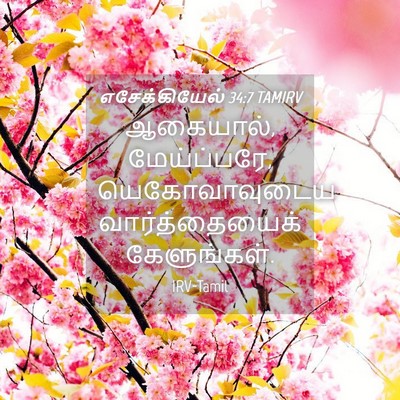Picture 04 - எசேக்கியேல் 34:7 TAMIRV - ஆகையால், - Bible Verse Picture
