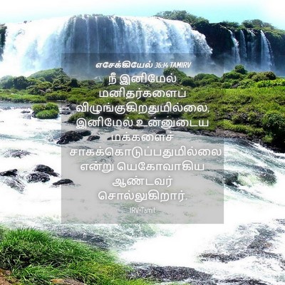 Picture 04 - எசேக்கியேல் 36:14 TAMIRV - நீ இனிமேல் - Bible Verse Picture
