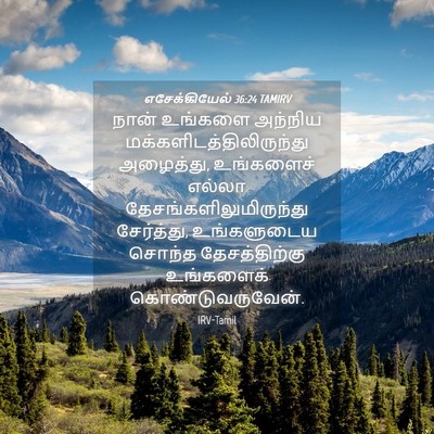Picture 04 - எசேக்கியேல் 36:24 TAMIRV - நான் உங்களை - Bible Verse Picture