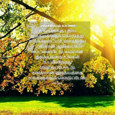 Picture 04 - எசேக்கியேல் 36:26 TAMIRV - உங்களுக்கு புதிய - Bible Verse Picture