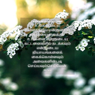 Picture 04 - எசேக்கியேல் 36:27 TAMIRV - உங்களுடைய - Bible Verse Picture
