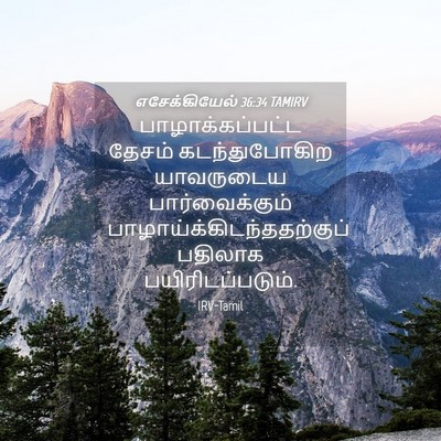 Picture 04 - எசேக்கியேல் 36:34 TAMIRV - பாழாக்கப்பட்ட - Bible Verse Picture