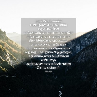 Picture 04 - எசேக்கியேல் 36:38 TAMIRV - பண்டிகை - Bible Verse Picture