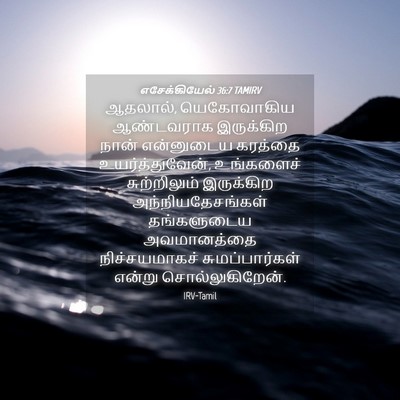 Picture 04 - எசேக்கியேல் 36:7 TAMIRV - ஆதலால், யெகோவாகிய - Bible Verse Picture