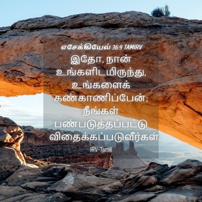 Picture 04 - எசேக்கியேல் 36:9 TAMIRV - இதோ, நான் - Bible Verse Picture